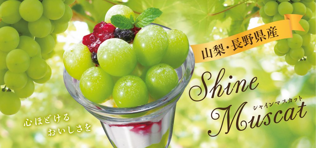 シャインマスカットさま専用【未使用】ルイヴィトンスヌード 2023シャインマスカットPCバナー